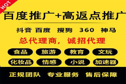 竞价SEM案例分享：行业霸主崛起之路
